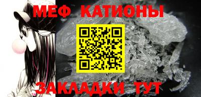 шишки Заводоуковск