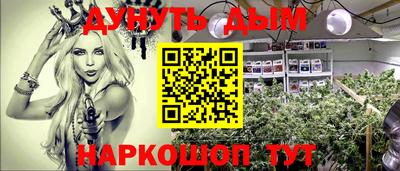 шишки Заводоуковск