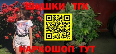 шишки Заводоуковск