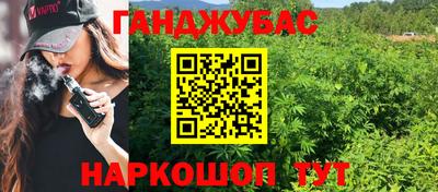 шишки Заводоуковск