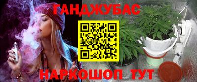 шишки Заводоуковск