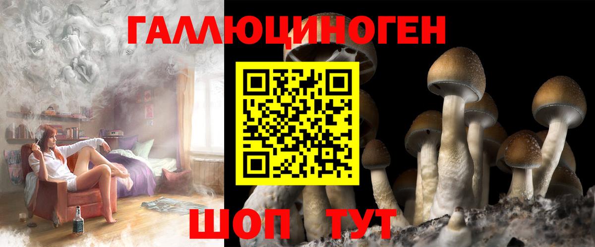 Галлюциногенные грибы Magic Shrooms  купить наркотики цена  Вход с VPN  Черемхово  Псилоцибиновые грибы Psilocybine cubensis 